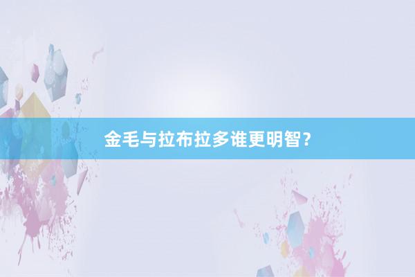 金毛与拉布拉多谁更明智？