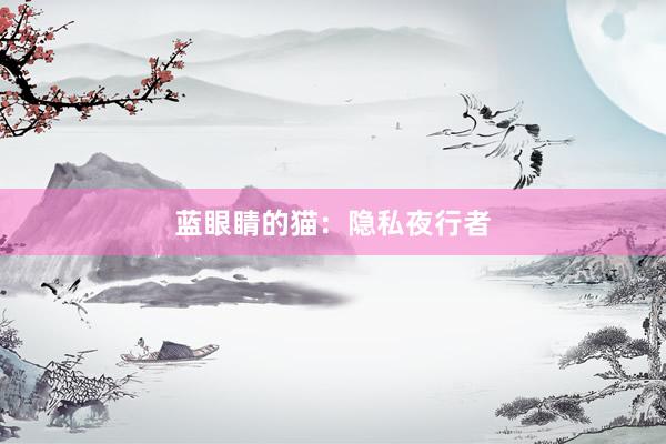 蓝眼睛的猫：隐私夜行者